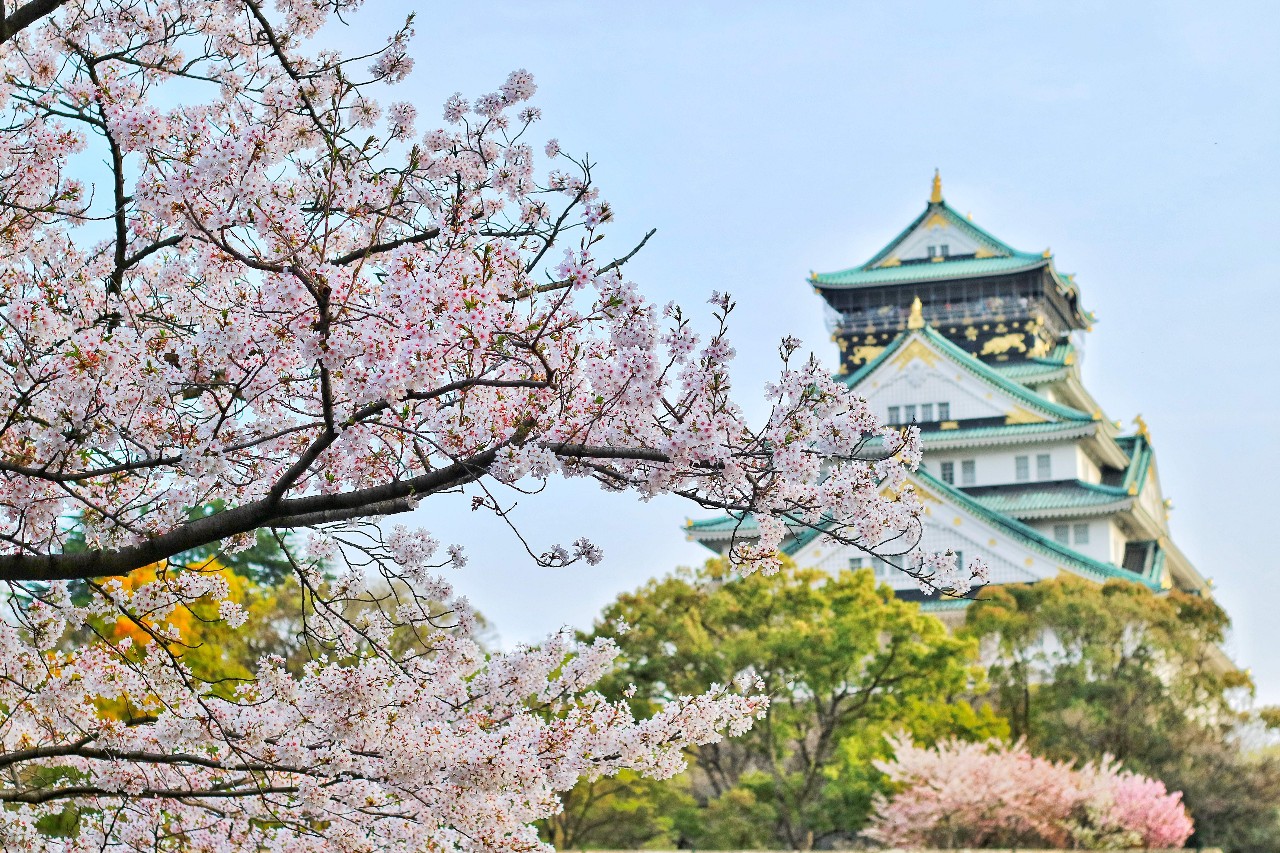 Osaka Picture